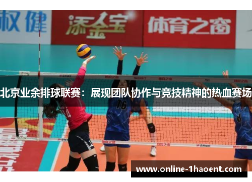 北京业余排球联赛：展现团队协作与竞技精神的热血赛场