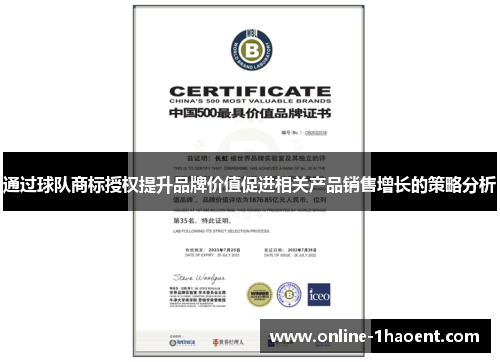 通过球队商标授权提升品牌价值促进相关产品销售增长的策略分析