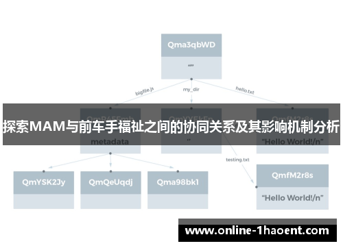 探索MAM与前车手福祉之间的协同关系及其影响机制分析
