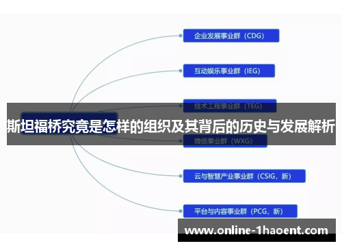 斯坦福桥究竟是怎样的组织及其背后的历史与发展解析