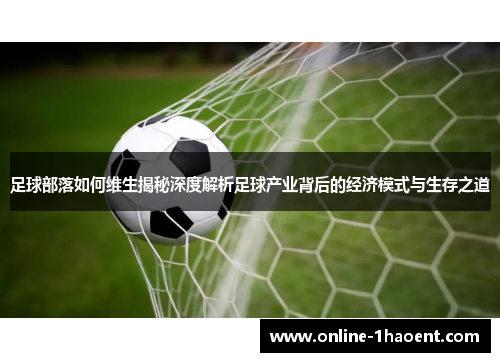 足球部落如何维生揭秘深度解析足球产业背后的经济模式与生存之道