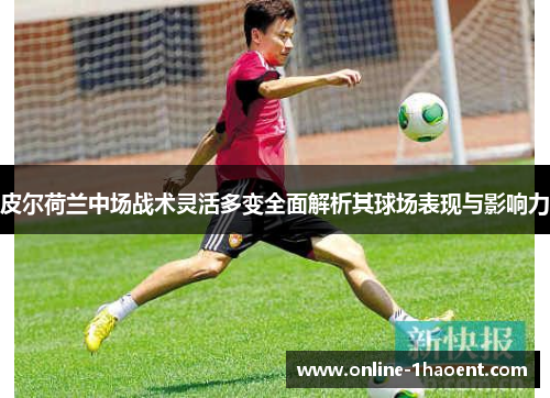 皮尔荷兰中场战术灵活多变全面解析其球场表现与影响力