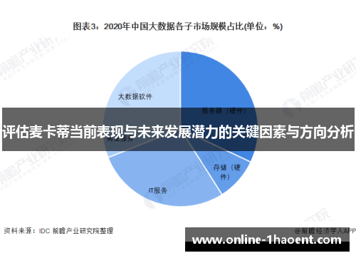 评估麦卡蒂当前表现与未来发展潜力的关键因素与方向分析