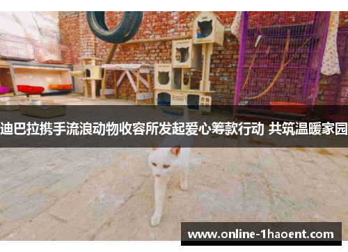 迪巴拉携手流浪动物收容所发起爱心筹款行动 共筑温暖家园 迪巴拉携手流浪动物收容所发起爱心筹款行动 共筑温暖家园